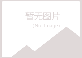 平定县山柳工程有限公司